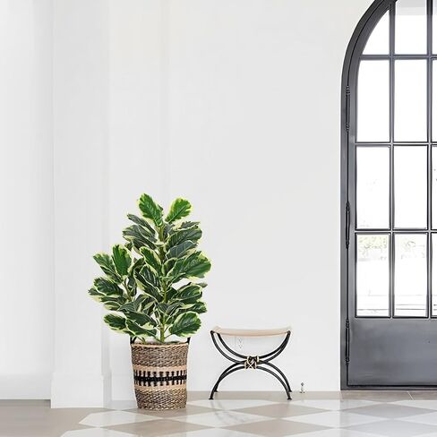 Variegated Fiddle Leaf Fig Tree 2.6ft Faux Fig Tree Tall Floor Plant Fake Ficus Lyrata Plant for Home Office Decor Faux Trees Indoor Housewarming Gift in Saudi Arabia