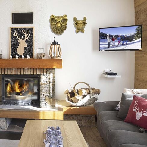 Yo Vryncal Bird Head Wall Mount Decor,Animal Wall Art Decor Bronzed Wall Hanging Ornaments Art Sculptures Resin Animal Head Hanging Decoration for Living Room Bedroom Kitchen Office in Kuwait