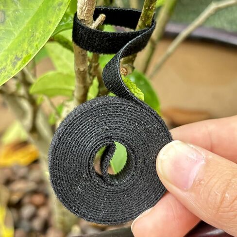 3Rolls 200CM/Roll Nylon Plant Ties Resealable Cable Twine Self Adhesive Plant Fastener Tape for Support Garden Supplies,Green in Saudi Arabia