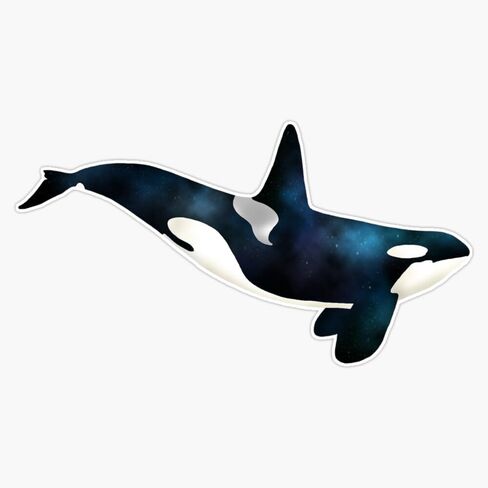 MAGNET Space Orca Magnetic Vinyl Sticker Decal Magnet 5" in Saudi Arabia