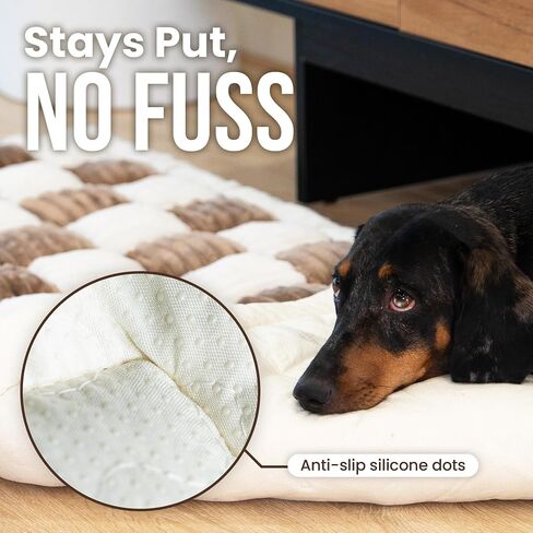 غطاء أريكة Cattasaurus Pet ، واقي أريكة قابل للغسل للقطط والكلاب ، حصيرة أريكة صديقة للحيوانات الأليفة للقطط والكلاب حتى 120 رطلاً (جامبو ، رمادي أزرق) in Kuwait