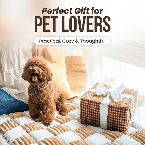 غطاء أريكة Cattasaurus Pet ، واقي أريكة قابل للغسل للقطط والكلاب ، حصيرة أريكة صديقة للحيوانات الأليفة للقطط والكلاب حتى 120 رطلاً (جامبو ، رمادي أزرق) in Kuwait