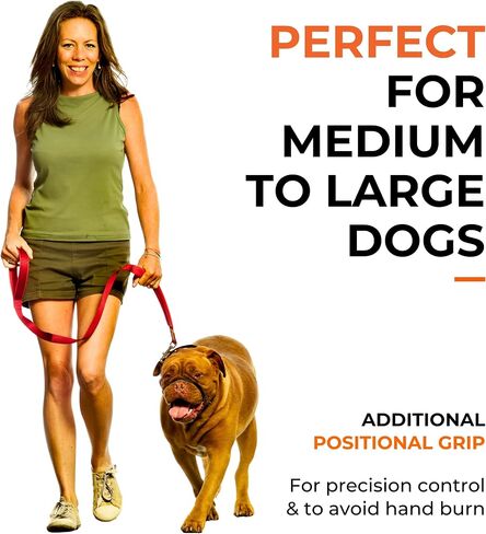 Canny Leash Connect | Heavy Duty Dog Leash | Small, Medium, & Large Dogs | Leash with Handle, Buckle, Padded Grip & Secure Clip | Tie Your Dog Anywhere, Length 4ft, Width 5/8in, Blue in Saudi Arabia