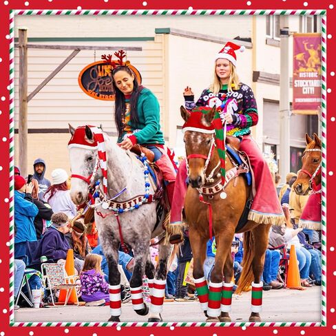 6 Pcs Christmas Horse Accessory Xmas Santa Elf Horse Hat Christmas Santa Horse Leg Wrap with Faux Fur Trim Adjustable Nylon Horse Halter Santa Halter for Christmas Horse Costume Accessories in Saudi Arabia