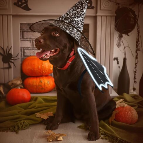 Halloween Bat Costume Set Include Light up Bat Wings LED Wing Black Headband Wand for Halloween Party Decoration in Saudi Arabia