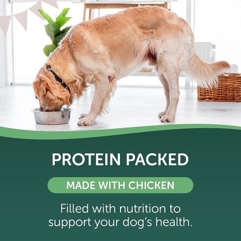 Heathfuls Digestive Support - Chicken and Pumpkin Recipe in Saudi Arabia