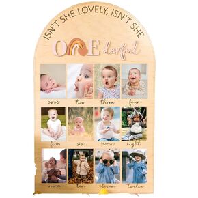 One Year Of Baby Photo Display, Little Miss Onderful Birthday Decorations, First Birthday Picture Board