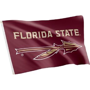 Desert Cactus Florida State University Flag Seminoles FSU Flags Banners 100% Polyester Indoor Outdoor 3x5 (Style 7)