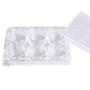 24-Well Sterile Culture Plate, TC Treated Cell Culture Plates Tissue Culture Treated Plate, Individually Wrapped, Pack of 10