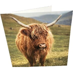 Maturi Blank Greeting Card with Water Colour Highland Cow Image