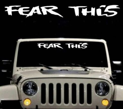 STICKY DUDE Windshield Decal Banner Sticker 20" x 3" (Fear) in Saudi Arabia
