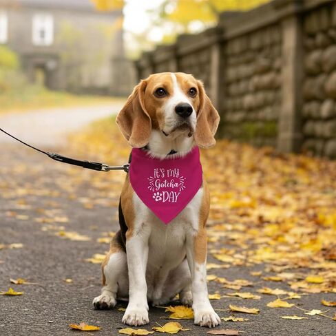 It's My Gotcha Day Dog Bandana, Pink Dog Bandana, Pet Dog Scarf Accessories, Pet Dog Triangle Scarf, Funny Cute Dog Bandana, Dog Bandana for Small Medium Large Dogs, Dog Bandana Pet Scarf (E19) in Saudi Arabia