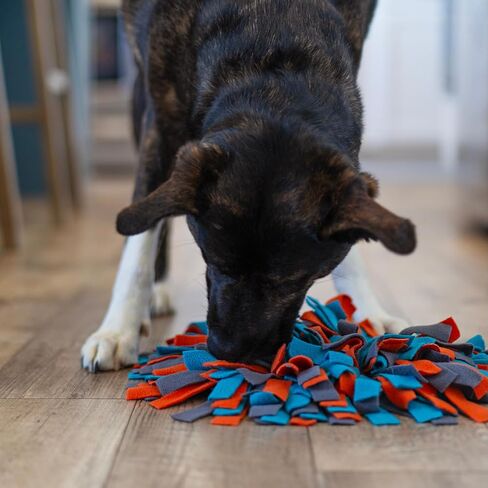 Messy Mutts Square 16" x 16" Forage Mat and Lick Mat with Non Slip Suction Cups | Stimulating Sniffing Interactive Puzzle for Dogs | Silicone Triangle Licking Mat in Saudi Arabia