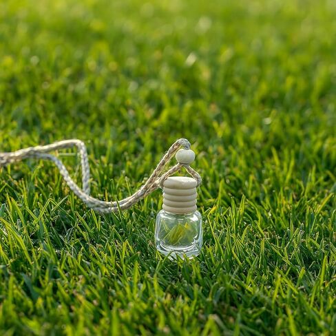 Pack of 30 Black Glass Car Air Freshener Diffuser, Empty Auto Essential Oil Fragrance Perfume Bottles Hanging Ornaments Decor in Kuwait