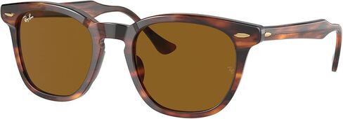 Ray-Ban RB2298 Sunglasses Bundle: RB 2298 HAWKEYE 954/33 Hawkeye Striped Havana Brown and Universal Anti-slip Silicone Leash in Saudi Arabia