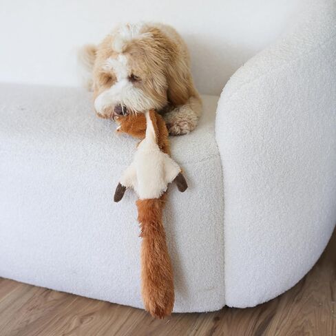 SPOT Skinneeez | Stuffless Dog Toy with Squeaker For All Dogs | Tug-Of-War Toy For Small and Large Breeds | 17" | Chicken Design | By Ethical Pet in Saudi Arabia