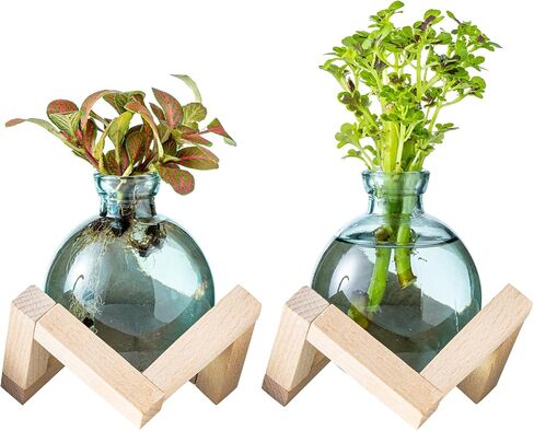Plant Propagation Station, Plant Terrarium with Wooden Stand for Hydroponic Plant Propagation, Propagation Vases for Plants, Green Glass Bulb Vases for Home Office Decor (2) in Saudi Arabia