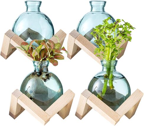 Plant Propagation Station, Plant Terrarium with Wooden Stand for Hydroponic Plant Propagation, Propagation Vases for Plants, Green Glass Bulb Vases for Home Office Decor (2) in Saudi Arabia