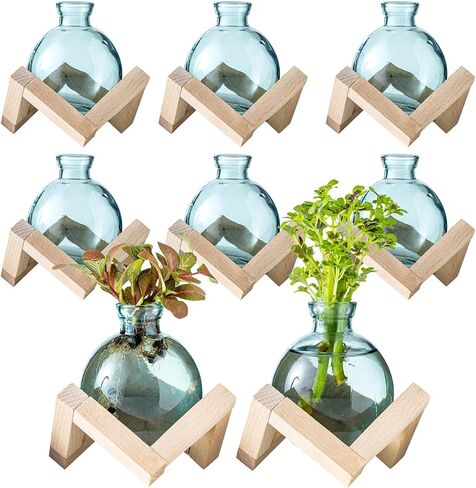 Plant Propagation Station, Plant Terrarium with Wooden Stand for Hydroponic Plant Propagation, Propagation Vases for Plants, Green Glass Bulb Vases for Home Office Decor (2) in Saudi Arabia