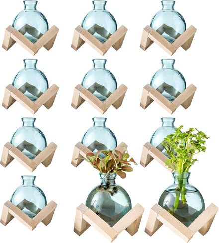 Plant Propagation Station, Plant Terrarium with Wooden Stand for Hydroponic Plant Propagation, Propagation Vases for Plants, Green Glass Bulb Vases for Home Office Decor (2) in Saudi Arabia