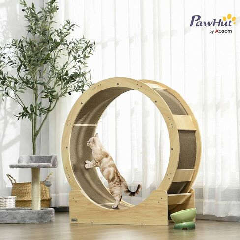 عجلة PawHut للقطط الداخلية، جهاز مشي للقطط مقاس 91.44 سم مع وسادات خدش، عجلة جري لتمارين القطط مع فرامل للصحة واللياقة البدنية، بلوط in Kuwait
