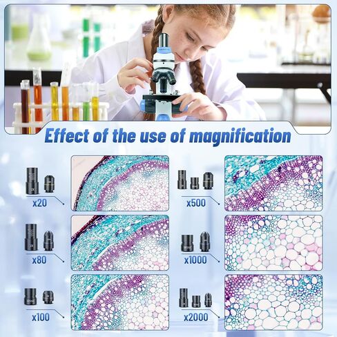 Binocular Microscope 40X-1000X LED Lighting for Kids Students Adults School Lab Home Education with Microscope Slides Set,Phone Adapter in Kuwait