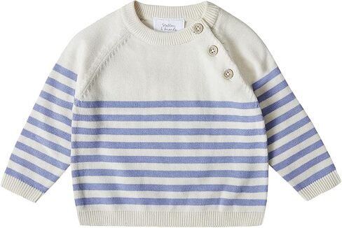 Stellou & friends 100% Cotton Knit Long Sleeve Sweater- Striped Baby Pullover for Toddlers, Boys, Girls- Unisex (0-4 Yrs) in Saudi Arabia