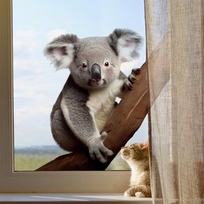 KAHSHEEN Woodland Animals Static Window Cling, Lifelike Koala Window Stickers, Cute Realistic Animal Lovely Removable Spring Decorations, Vinyl Decal Sticker Home Decor for Nursery Kid Baby Bedroom