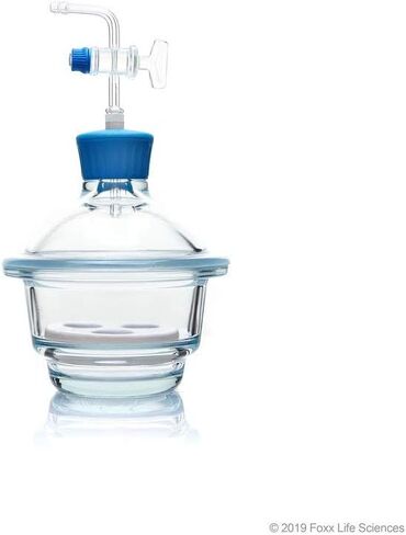 مجفف تفريغ زجاجي من Borosil® مزود بطبق بورسلين وغطاء من البورسليكات ومحبس زجاجي وعمود دوران PTFE، صغير جدًا (XS)، قطر 100 مم، 1/EA in Saudi Arabia