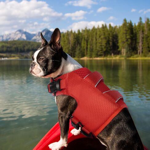 IECOii Small Dog Life Jacket,Small Dog Life Vest for Swimming Boating,Ripstop Dog Float Coat with Double Rescue Handle, Adjustable Dog Lifesaver Vest with Superior Buoyancy for Pool,Bright Red,S in Saudi Arabia