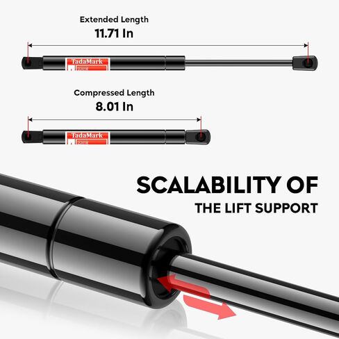 Rear Hatch Trunk Tailgate Lift Supports Shocks Struts Gas Spring Fit for Chrysler 300 300C 2005 2006 2007 2008, PM3162 6405, 2 Pcs in Saudi Arabia