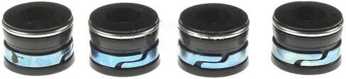Valve Stem Seal Kit Intake for 1977-1983, 1986 Buick Century in Saudi Arabia