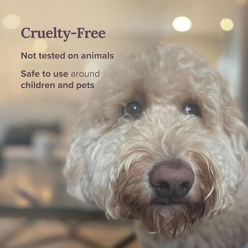 Magnificent 101 Lotus Flower Aromatherapy Candle - 6 Oz - 24 Hour Burn - Soy Wax Tin Candle for True Love & Passion, Purification, Manifestation & Chakra Healing - Lotus Scented Candle in Kuwait