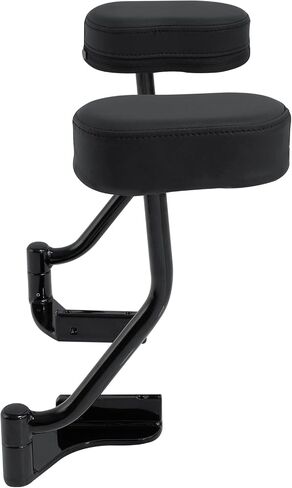 TCMT Black Passenger Armrest Fit For Honda Goldwing 1800 GL1800 GL 1800 Tour 18-19 18 in Saudi Arabia