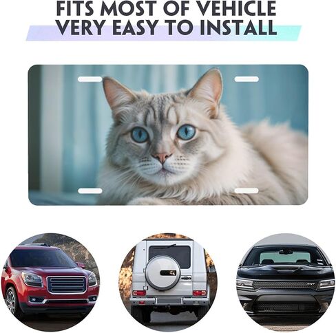 HDSD Custom Car License Plates - Personalized Your Text, Image Logos License Plates- for SUV, Cars, Space Decor and More in Saudi Arabia