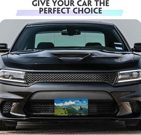 HDSD Custom Car License Plates - Personalized Your Text, Image Logos License Plates- for SUV, Cars, Space Decor and More in Saudi Arabia