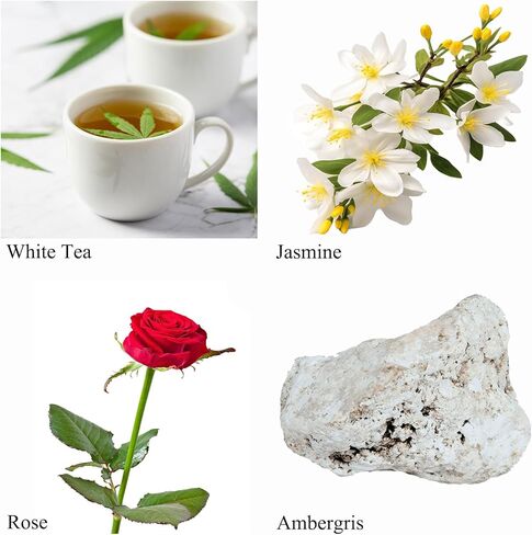 زيوت عطرية يلانج، 0.33 أونصة سائلة من الزيوت العطرية للناشر، لأجهزة الترطيب، زيوت معطرة طويلة الأمد لصناعة الشموع والصابون بنفسك، هدية لصديق (10 مل) in Kuwait