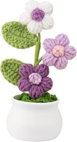 Crochet Small Flowers with Pot, Gradient Handmade Colourful Flowers for Friends, Family and Loved Ones for Home Office Decoration, Car Decoration, Valentine's Day Gifts (Purple) in Saudi Arabia