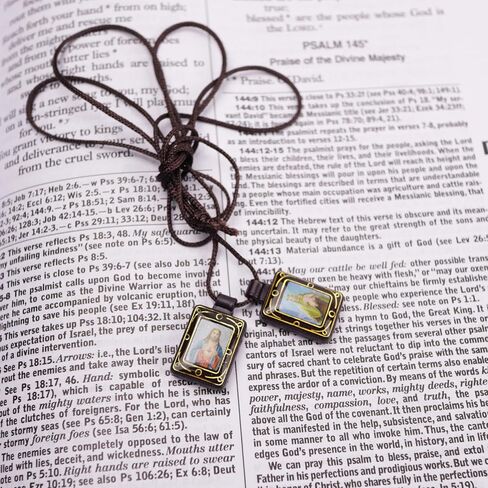 Needzo Sacred Heart and Our Lady of Mt. Carmel Scapular, Catholic Devotional Gifts, 14.5 Inches in Saudi Arabia