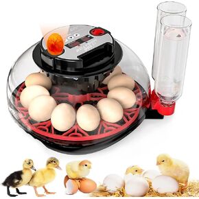Incubators for Hatching Eggs, 12-24 Egg Incubator, Automatic Egg Turner with Temperature Control, Egg Candler, Auto Water Replenishment, Poultry Incubator for Hatching Chicken Quail Duck Parrot in Kuwait