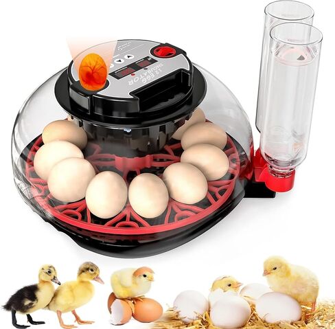 Incubators for Hatching Eggs, 12-24 Egg Incubator, Automatic Egg Turner with Temperature Control, Egg Candler, Auto Water Replenishment, Poultry Incubator for Hatching Chicken Quail Duck Parrot in Kuwait