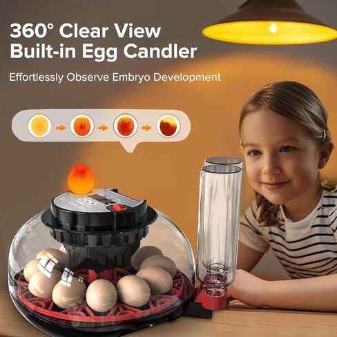 Incubators for Hatching Eggs, 12-24 Egg Incubator, Automatic Egg Turner with Temperature Control, Egg Candler, Auto Water Replenishment, Poultry Incubator for Hatching Chicken Quail Duck Parrot in Kuwait