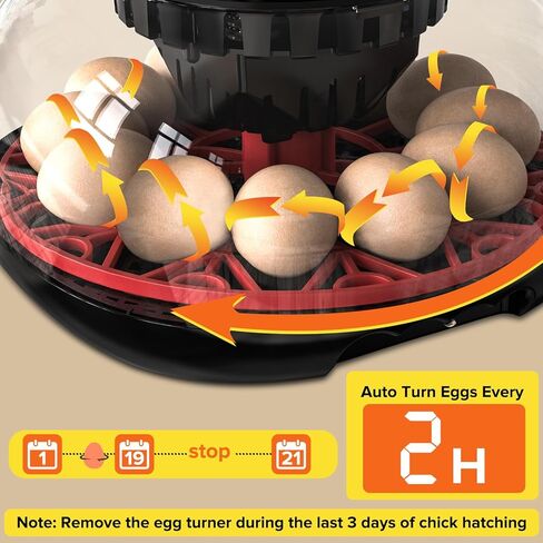 Incubators for Hatching Eggs, 12-24 Egg Incubator, Automatic Egg Turner with Temperature Control, Egg Candler, Auto Water Replenishment, Poultry Incubator for Hatching Chicken Quail Duck Parrot in Kuwait