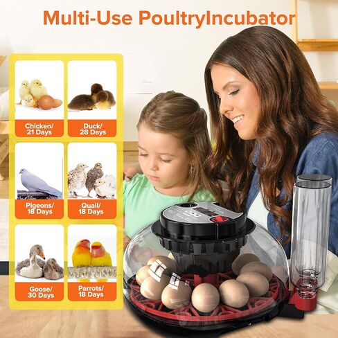 Incubators for Hatching Eggs, 12-24 Egg Incubator, Automatic Egg Turner with Temperature Control, Egg Candler, Auto Water Replenishment, Poultry Incubator for Hatching Chicken Quail Duck Parrot in Kuwait