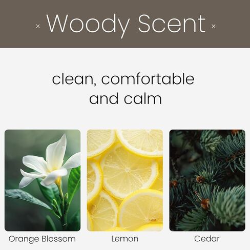 90+ Days Long Lasting - Car Air Freshener Kit with 2Pcs Refills - Cedar Scent Wood Car Diffuser - Automotive Visor Interior Accessories Decor in Kuwait