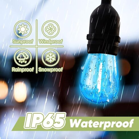 30-Pack Colored String Light Bulbs, S14 LED Replacement Bulbs for Outdoor String Lights, Patio Light Bulbs, 1W E26 Base for Christmas Halloween,Holiday Lighting,Home Decor in Kuwait