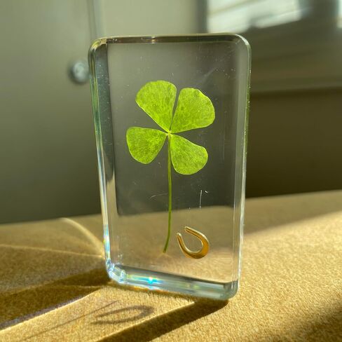 Real 4 Leaf Clover in Lucite – Lucky Charm Desk & Shelf Decor, Birthday Gifts for Women, Anxiety Relief & Self Care Gifts, Retirement, Graduation & Thank You Keepsake in Saudi Arabia