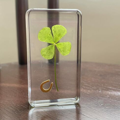 Real 4 Leaf Clover in Lucite – Lucky Charm Desk & Shelf Decor, Birthday Gifts for Women, Anxiety Relief & Self Care Gifts, Retirement, Graduation & Thank You Keepsake in Saudi Arabia