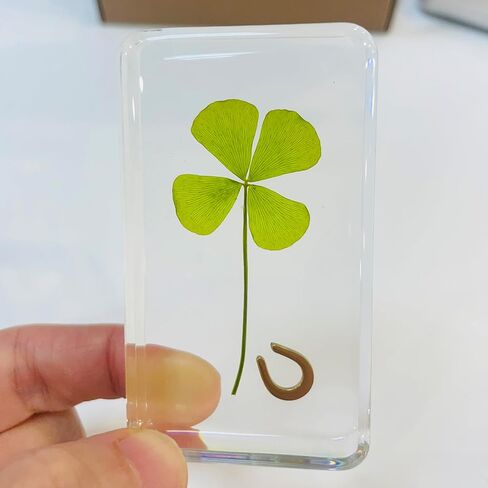 Real 4 Leaf Clover in Lucite – Lucky Charm Desk & Shelf Decor, Birthday Gifts for Women, Anxiety Relief & Self Care Gifts, Retirement, Graduation & Thank You Keepsake in Saudi Arabia