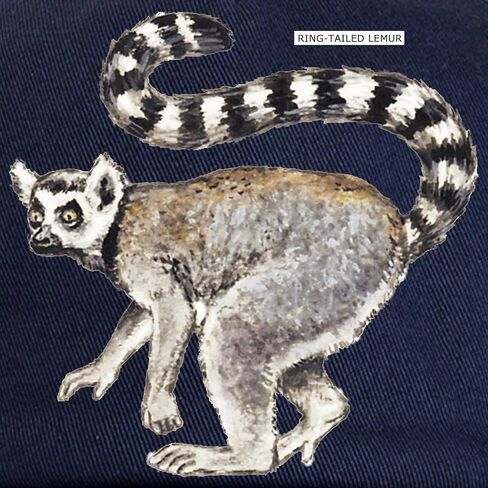 CafePress Ring Tailed Lemur Cap Adjustable Baseball Cap in Saudi Arabia